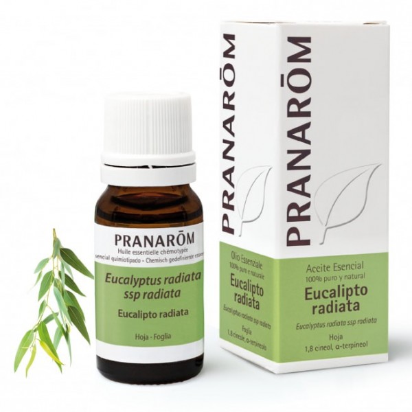 PRANAROM ACEITE ESENCIAL EUCALIPTO RADIATA ENVASE 10 ML