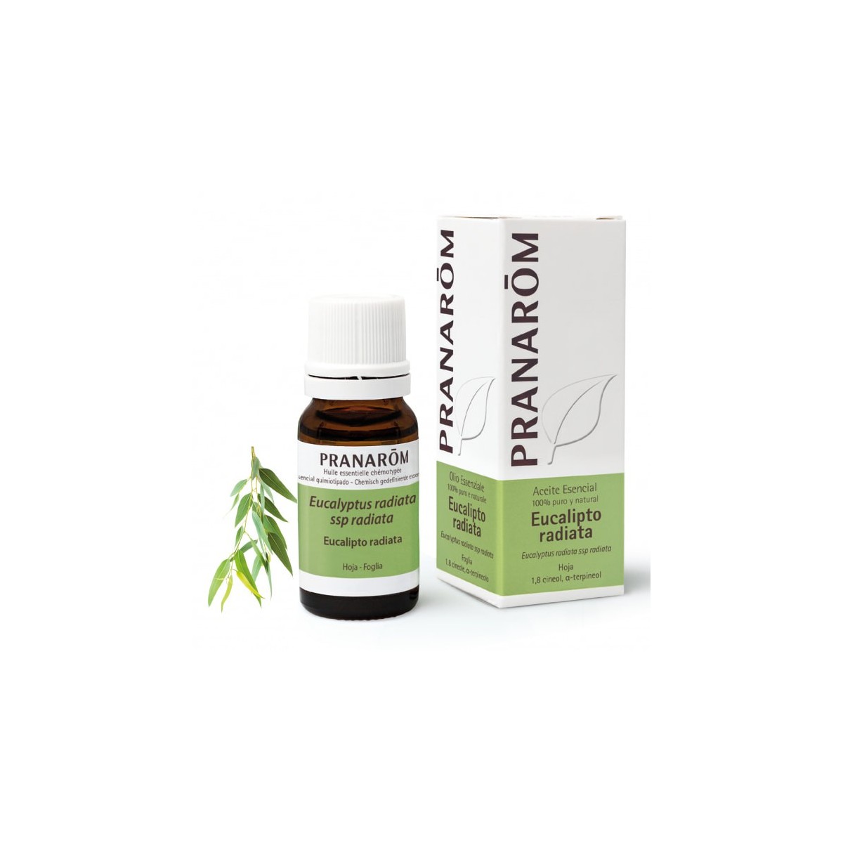 PRANAROM ACEITE ESENCIAL EUCALIPTO RADIATA...