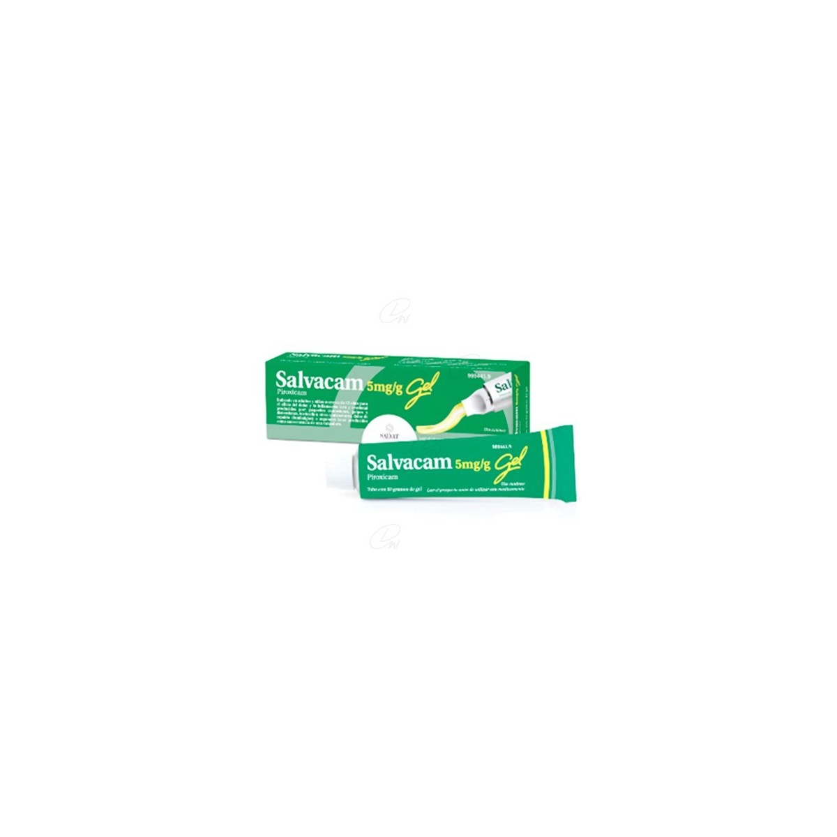 SALVACAM 5mgg  GEL 1 tubo de 60 g