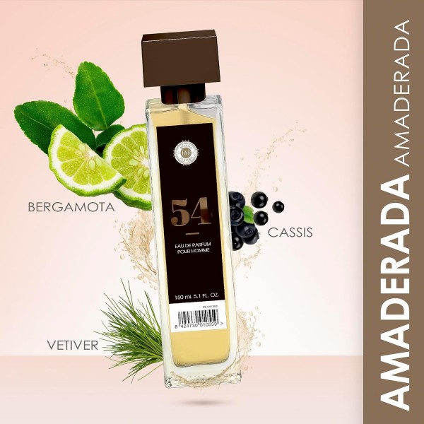 IAP PHARMA POUR HOMME  1 ENVASE 150 ML N54