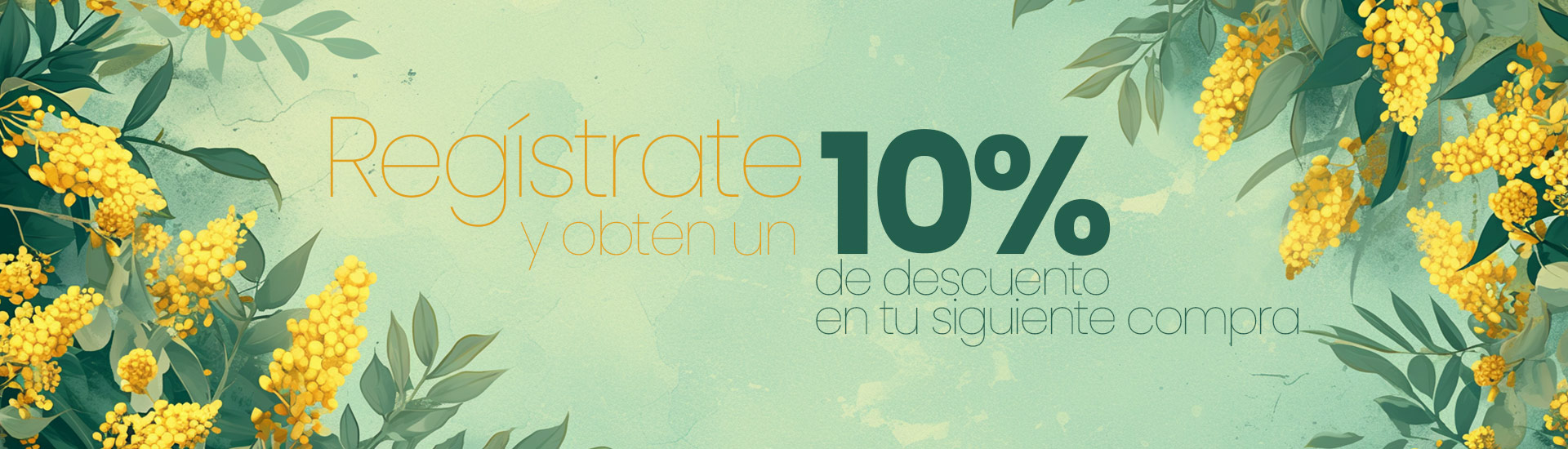 Registrate y obten un 10%descuento